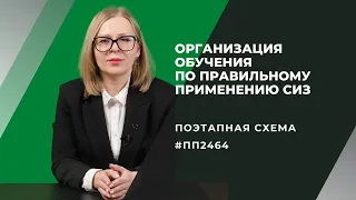 Организация обучения по применению СИЗ по ПП№2464. Поэтапная схема