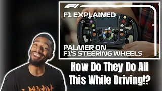 F1 Explained: The Steering Wheel | DTN REACTS