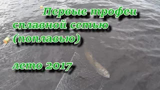 первые трофеи сплавной сетью (поплавью) лето 2017