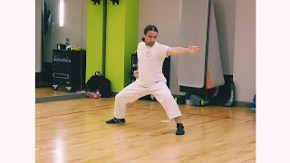 Bassai Dai - Karate Kata Training Techniques - (Experimenting) TAKE A LOOK