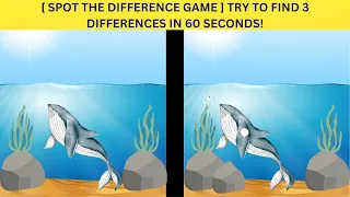 Spot the difference game  Try to find 3 differences in 60 seconds!