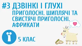 Дзвінкі і глухі приголосні. Шиплячі та свистячі приголосні. Африкати #3