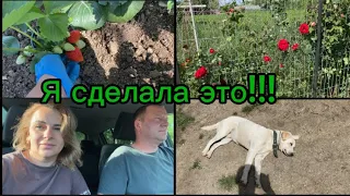 1224❤️Борьба за урожай! Оно того стоит/Частичка родителей/