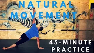 45-minute Natural Movement Class: Mobility, Stability, Coordination
