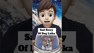 The Sad Story Of Laika, the Space Dog | #space #dog #laika
