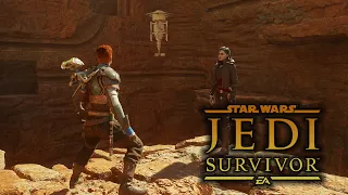 ich wollte doch nur ne ruhige KUGEL SCHIEBEN 😒 060 Star Wars Jedi: Survivor | Let's Play