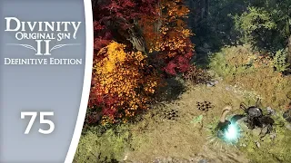 The trial of four elements - Let's Play Divinity: Original Sin 2 - Definitive Edition #75