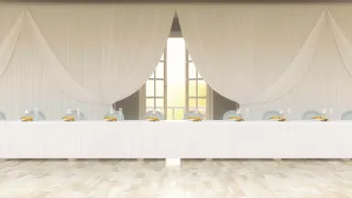 SHIP OUR WEDDING - 3D DIY PIPE & DRAPES