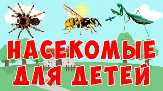 Учим насекомых | развивающий мультфильм | животные для детей
