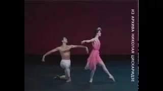 La Rose Malade, Nikolay Tsiskaridze and Svetlana Lun'kina, 2008