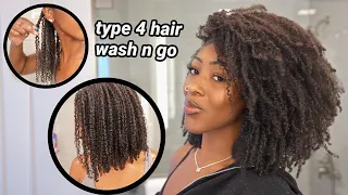 MY TYPE 4 NATURAL HAIR WASH N GO ROUTINE... how to achieve the most defined wash n go ever!!