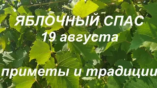 Яблочный Спас  19 августа . Приметы и традиции.