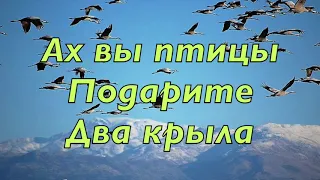 Я в небо смотрю как птицы летят