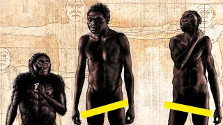 A Brief History Of The Star-man: Homo Naledi | Homo Species