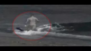 нападение акулы на человека на берегу