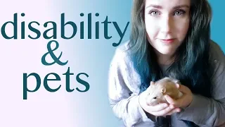 How pets help chronically ill/disabled people.