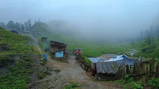 This is Himalayan Life |Ep-250| Himalayan Beautiful Life in Nepal | Nepali Peaceful Environment