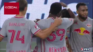 Omir Fernandez Beauty 1-2 Goal | New York Red Bulls @ New England Revolution Highlights