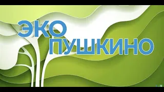 "Экопушкино": Чем опасны батарейки?