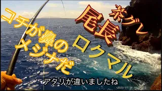 【特級磯】新釣法で狙う ロクマル 尾長グレ 茶グレ メジナ 口太 簡単に大型メジナ 神津 タダナエ マグロ～メジナまで釣れる磯