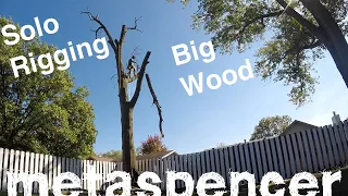 Solo Rigging Big Wood, Dead Oak Removal