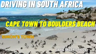 DRIVING FROM CAPE TOWN TO BOULDERS BEACH