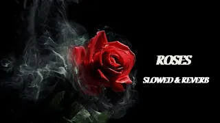 SAINt JHN - Roses | Slowed + Reverb [Tiktok Version]