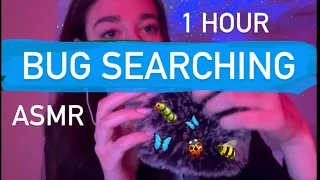 ASMR noa | 1 hour of bug searching🦋