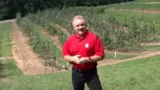 Apple Rootstocks for the Southeast