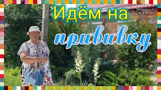 Ейск🌹Идём на прививку...