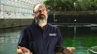 Biosphere 2 Short Documentary