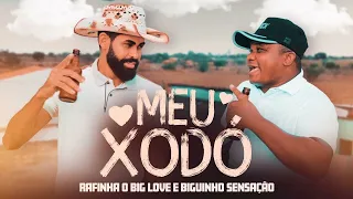 MEU XODÓ - RAFINHA O BIG LOVE E BIGUINHO SENSAÇÃO - MÚSICA NOVA