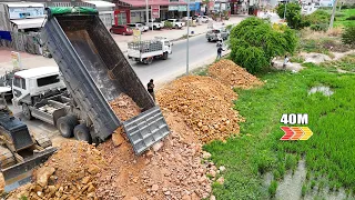 Nicely Starting a New Project Small Bulldozer Push Rocky Soil Delete The Field And DumpTruck...