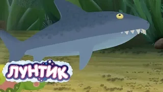 Лунтик | Пруд 🐬🐳 Сборник мультфильмов для детей