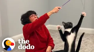 Mom Recruits Her Kids' Help To Tame Her Wild Rescue Kitten | The Dodo