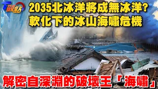 2035北冰洋將成無冰洋? 軟化下的冰山海嘯危機 解密來自深淵的破壞王「海嘯」【T觀點精選】