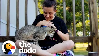 Girl Is Determined To Earn This Cat’s Love | The Dodo Faith = Restored