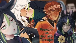 ||Реакция ври на Нил это Тигнари|Шип:Сайно+Тигнари||