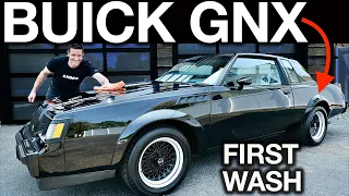 First Wash Buick GNX Detail: Waterspot Removal From Tricky Paint!