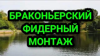 Браконьерский фидер. Как привязать три крючка на фидерную оснастку, чтобы они не путались.