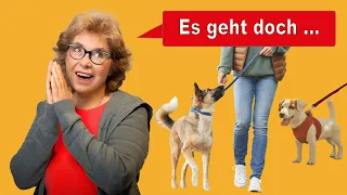 😇 Entspannte Hundebegegnungen mit Artgenossen (Supertipp)