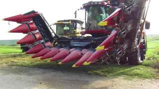 2008 Geringhoff corn head