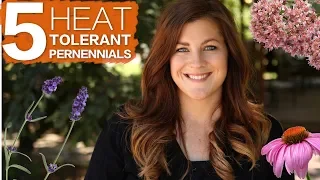 5 Heat Tolerant Perennials 🔥☀️🌿 // Garden Answer