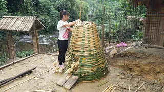 Build a house for baby chickens and ducks - Green forest life, farm