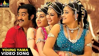 Yamadonga Songs | Young Yama Video Song | Jr NTR, Navneeth Kaur, Archana | Sri Balaji Video