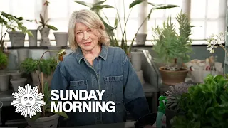 Martha Stewart on keeping houseplants