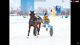 1.10.2023г. Раменский Ипподром Приз Пекина Лок Жеребцы и Кобылы 4-х лет и старше 2400м