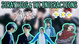 Stray Kids and TXT interactions