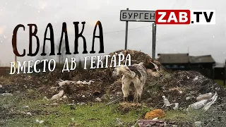 Вместо Дальневосточного гектара и детского лагеря - свалка