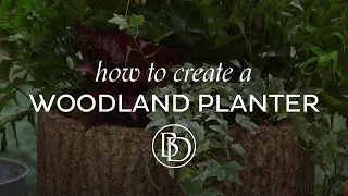 Creating a Woodland Planter Pot with James Farmer and Ballard Designs